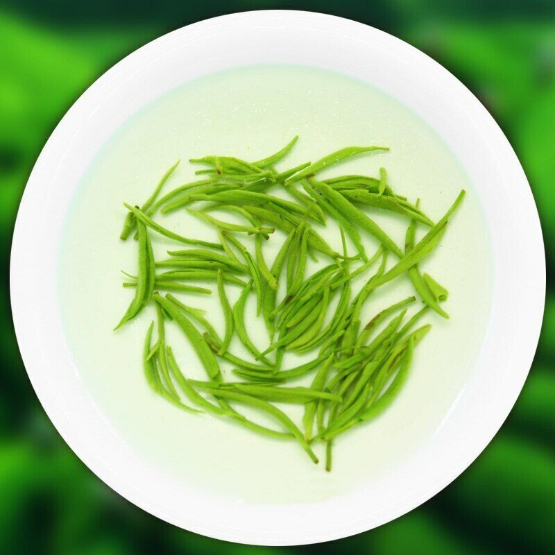 China Xinyang Maojian Tea High Quality Xin Yang Tea Mao Jian Green Tea 250g Tin