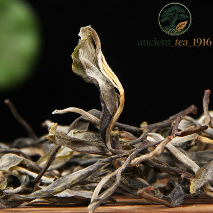 500g 2025 Pu'er Yunnan Lincang Mengku Ancient Tree Raw Tea Pu'er Tea