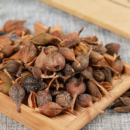 250g /500g Chinese Specialty Featured Forsythia Lianqiao Health Tea 连翘