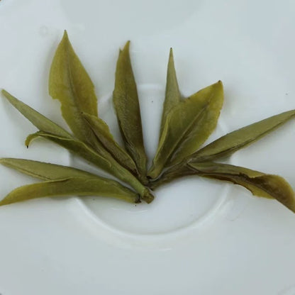 250g Premium White Tea Competition Grade White Peony Organic Loose Leaf BaiMuDan