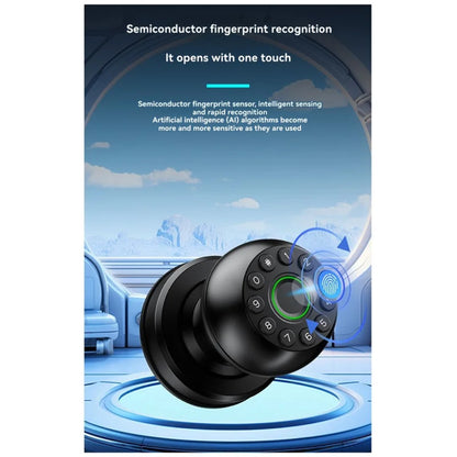 ABSQ Electronic Fingerprint Door Lock with App Control