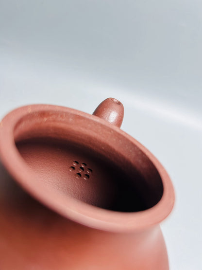 Chinese Yixing Zisha Clay Handmade Exquisite Flowers & Plants Teapot For Puer