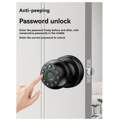 ABSQ Electronic Fingerprint Door Lock with App Control