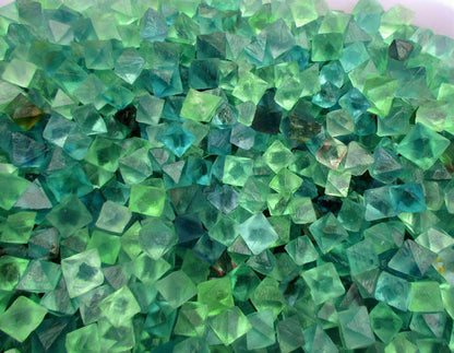 1/2 lb Beautiful Blue & Green Fluorite Octahedron Crystals - Bulk Lot