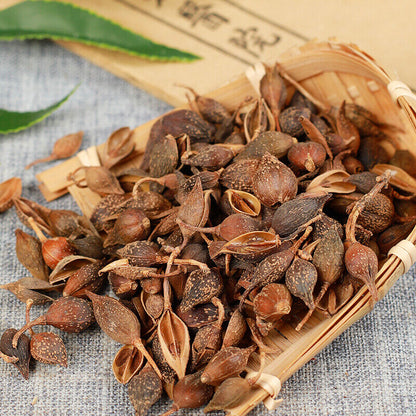 250g /500g Chinese Specialty Featured Forsythia Lianqiao Health Tea 连翘