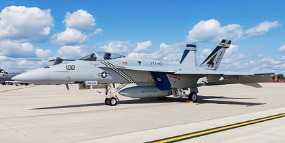 1:72 HM F/A-18E Super Hornet VFA-143 "Pukin Dogs", 2009 Fighter Diecast Model