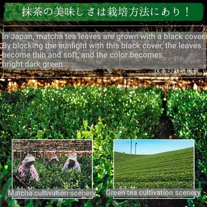 Japanese Matcha Green Tea Ayame 100g, Kyoto Uji Matcha Powder