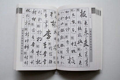 Ancient Brush Ink Calligrapher Running Script Cursive Script Dictionary Book