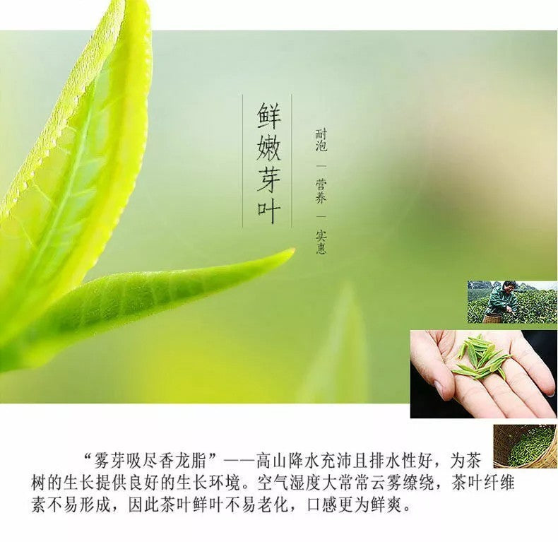 1000g Premium Organic Bai Mu Dan White Peony White Tea Spring Tea Loose Leaf Tea