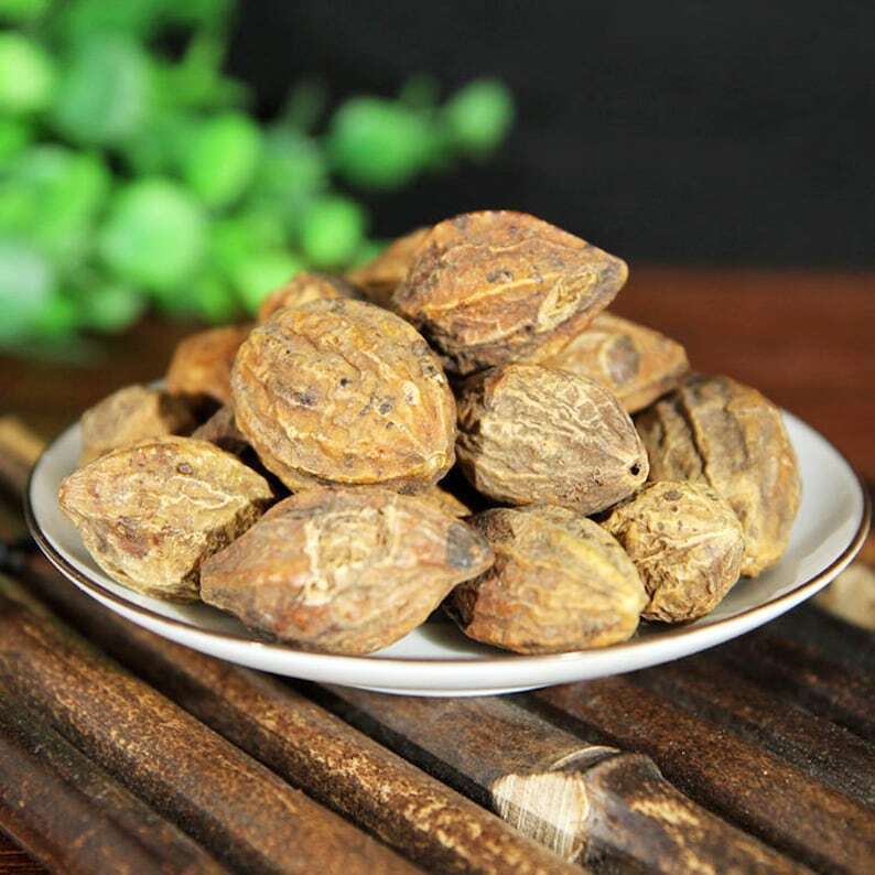 Premium Medicine Terminalia Fruit Fructus Chebulae Great Quality