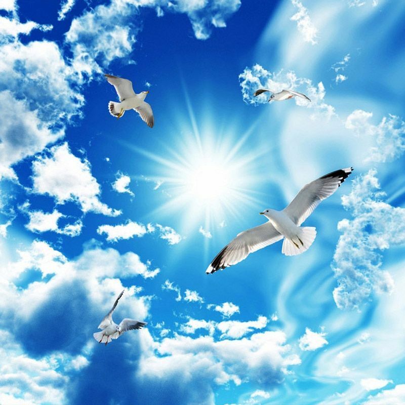 Large Ceiling Murals 3D Stereo Blue Sky White Clouds Dove Photo Wallpaper Decors