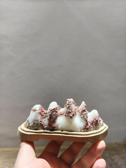Natural Lingbi Stone Bailing White Mountain Stone Bonsai Suiseki Home Design
