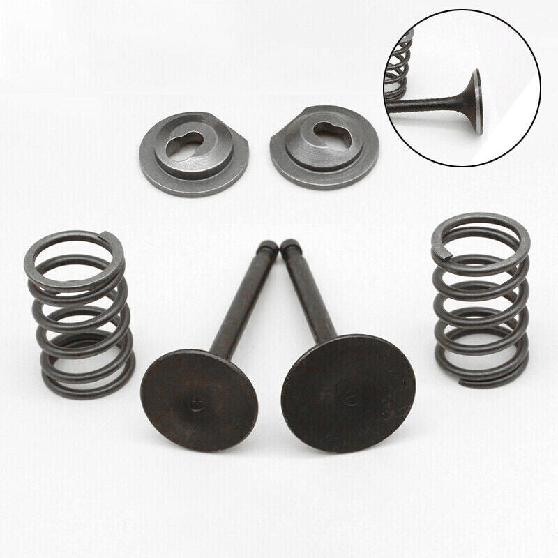 Valve Springs Kit For Honda GX160 GX200 168F 170F 5.5-6.5HP Gasoline Engine