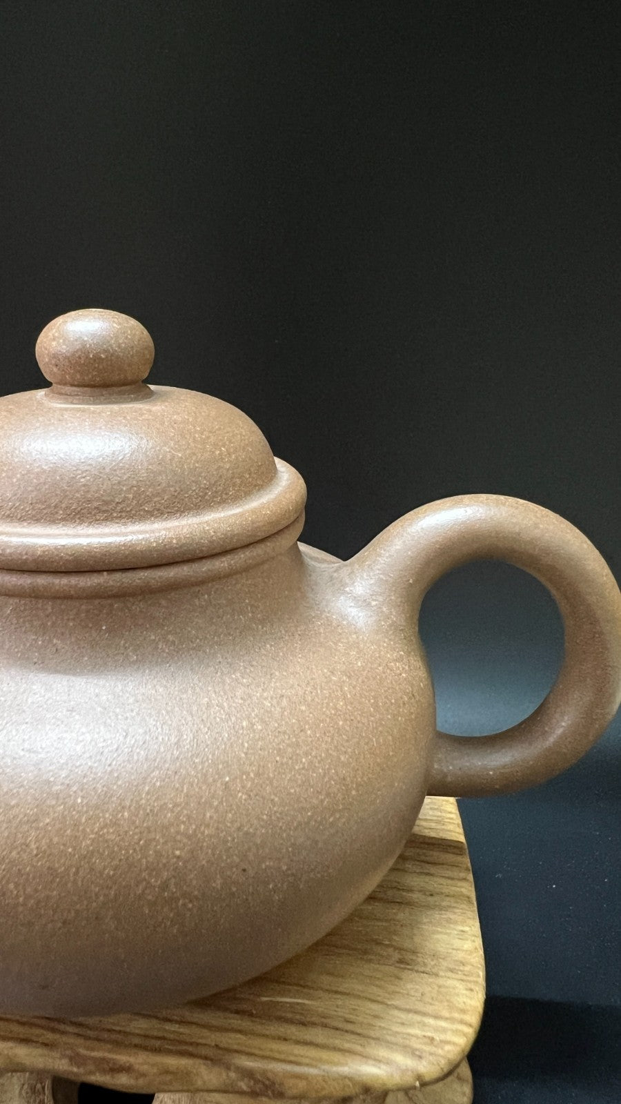 250cc chinese Yixing Handmade Zisha teapot Duan Clay RongTian Gongfu Hu Tea Pot