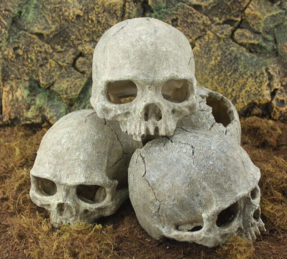 Aquarium Decoration Resin Head Skull Statue Lizard Terrarium Ornament 14x10x11cm