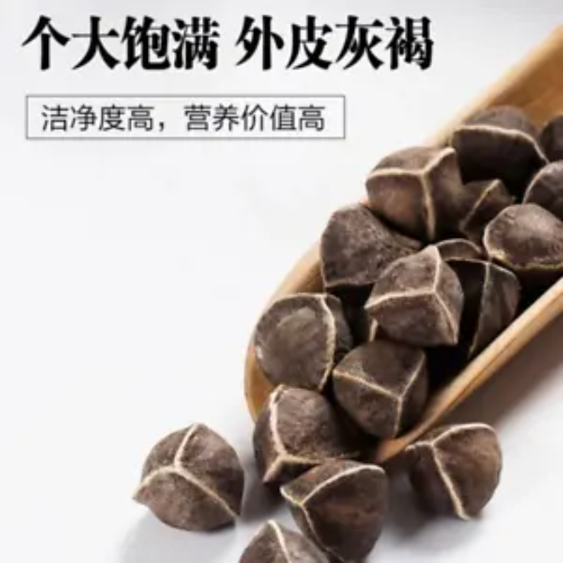 Moringa seeds 250 g Heathy Herbal Tea Lamuzi Herbs Healthy Drink Chicory seeds