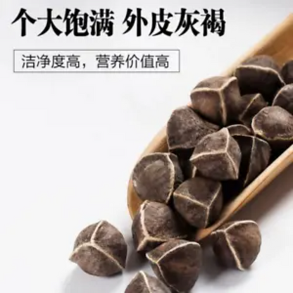 Moringa seeds 250 g Heathy Herbal Tea Lamuzi Herbs Healthy Drink Chicory seeds