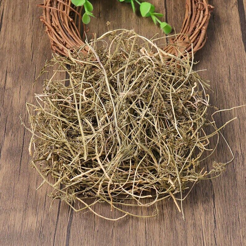 Organic Herbal Chinese Bastardtoadflax Herb Herbal Thesii Great Quality