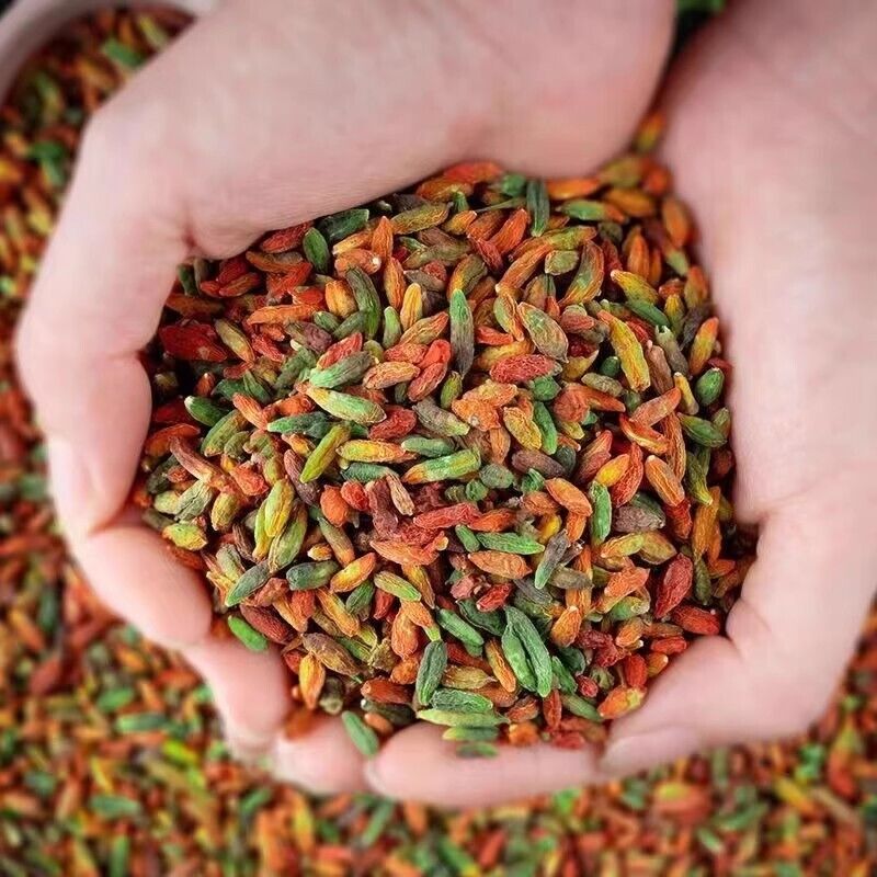 Wolfberry Gouqi Berry Herbal Chinese Tea Dried ChangBaiShan wild Goji Berries