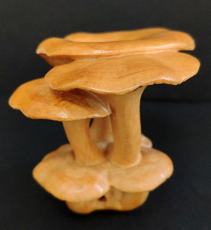 Chinese wood Hand Carved Boxwood Netsuke - Beautiful Mushroom hand piece gift