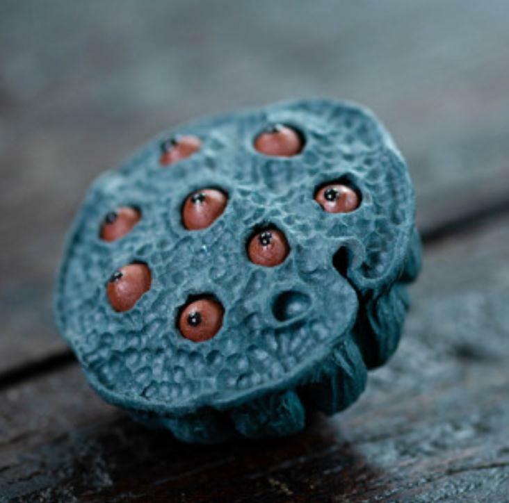 Chinese Yixing Zisha Pottery Porcelain Handmade Lotus pod Tea Pet Statue
