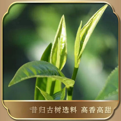 Xigui Raw Tea Yunnan Ancient Tree Puerh Tea Raw Tea Cake 357g