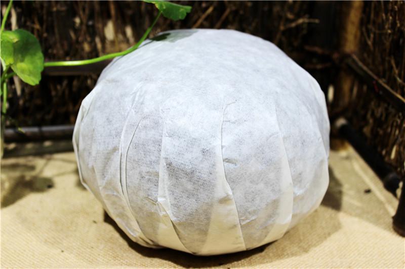 1000g Yunnan Pu-erh Tea Gold melon tribute tea cha puerh tuo cha pu erh tea Food