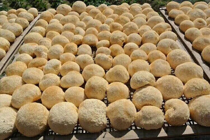 250g Premium Lion's Mane Hericium Erinaceus Mushroom Chinese Dried Goods
