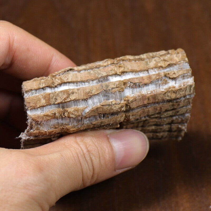 500g of Sichuan Eucommia ulmoides traditional Chinese medicine