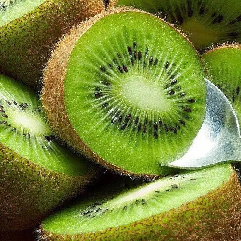500g Natural Organic Kiwi Crisp Dried Kiwi Fruit Snacks