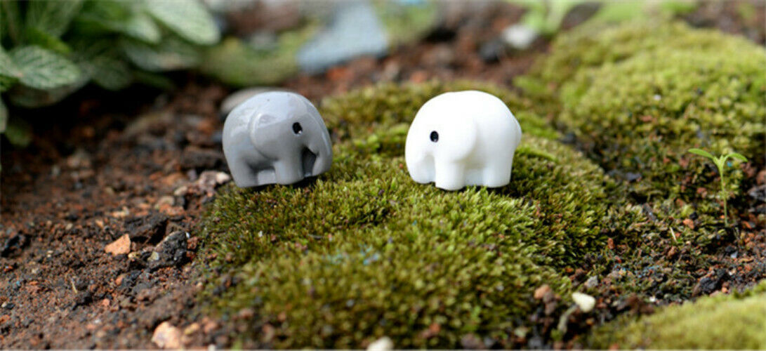 Mini 5pcs Elephant Fleshy Decoration Supplies Moss Micro Landscape Deco Creative