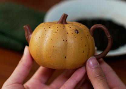 160cc chinese Yixing Handmade Zisha Zi clay Teapot Bionic Pumpkin GongFu Tea Pot