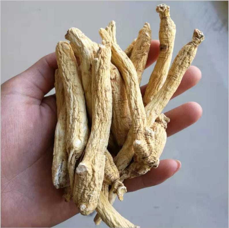Dried Ginseng Root 250g (About 45 Roots) White Ginseng Roots