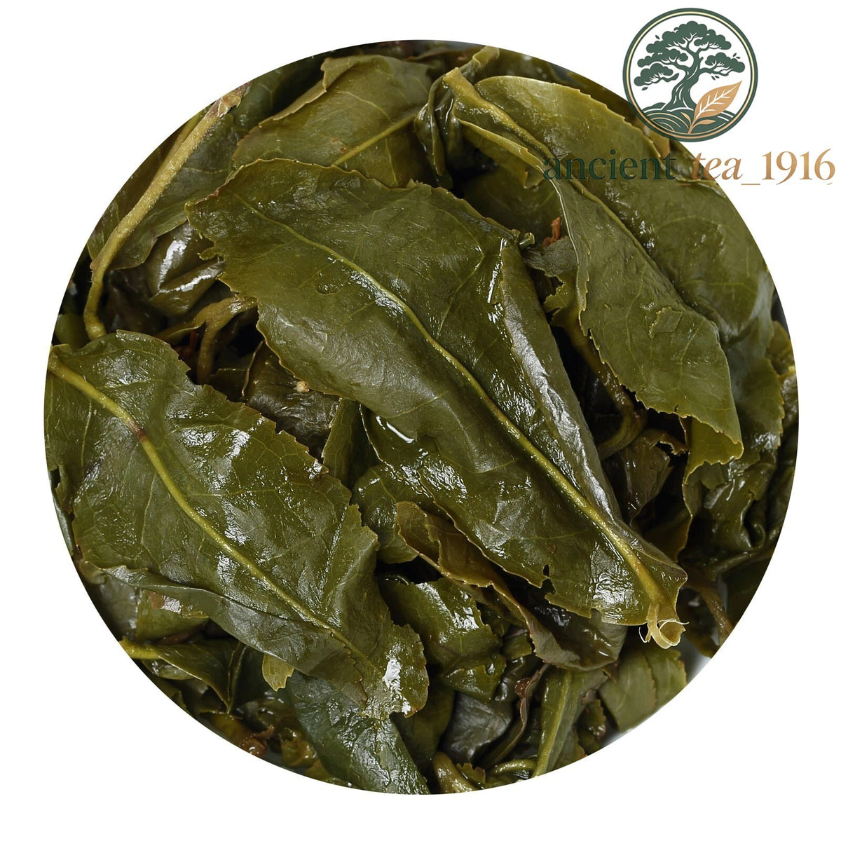 500g Taiwan Milk Oolong Tea Jinxuan Alishan Loose Oolong Tea Easy Bag