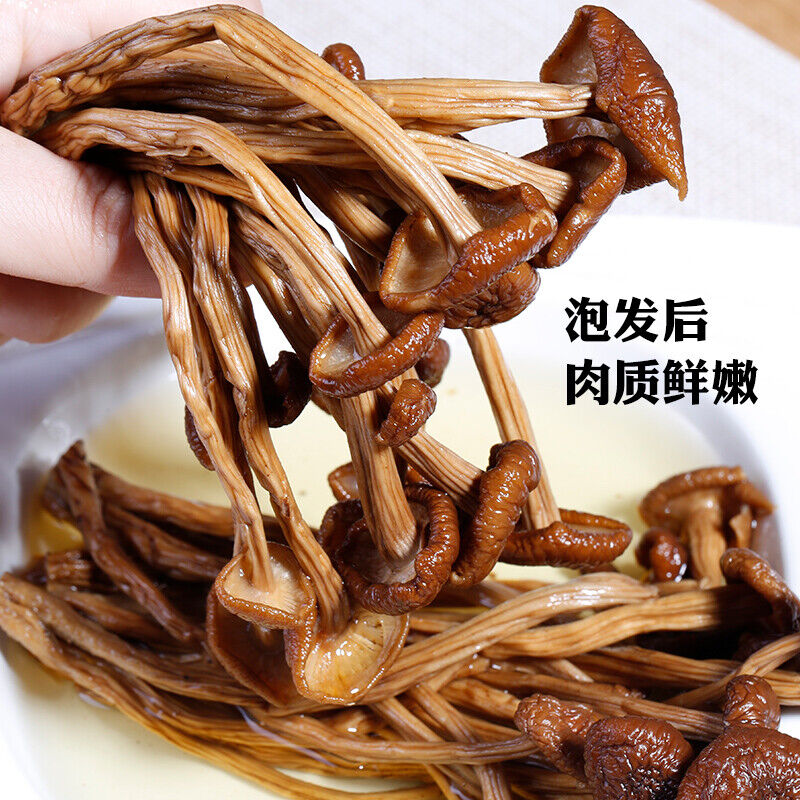 Agrocybe Cylindracea Edible Fungi Healthy Dried Mushrooms
