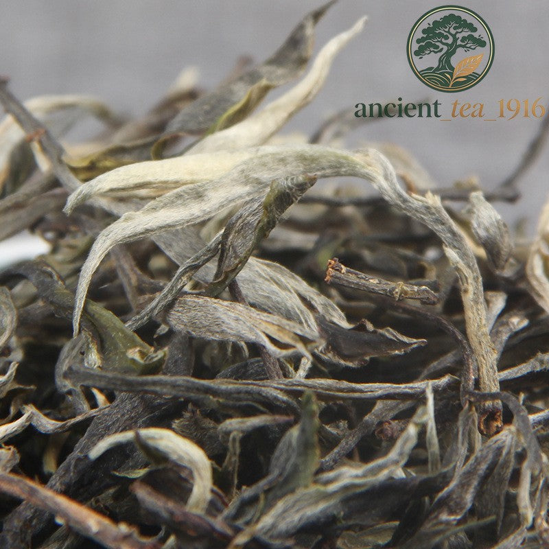 500g 2023 Pu'er Raw Tea Mengku Great Snow Mountain Pu'er Tea