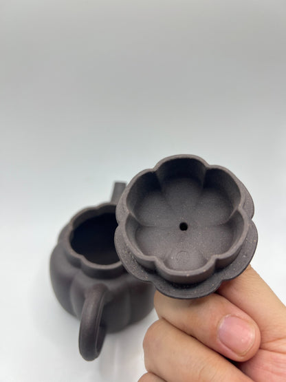 150cc chinese Yixing Handmade Zisha teapot TianQing clay FanHua Gongfu Tea pot