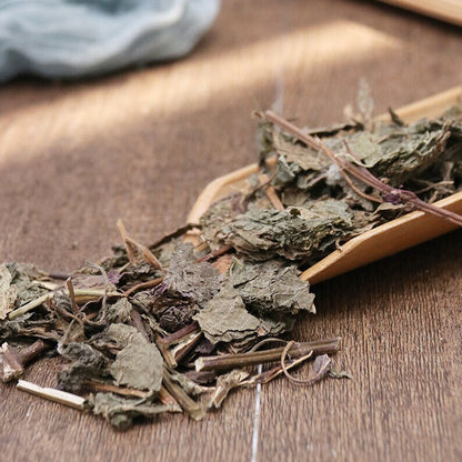 Natural Herbal Perilla Leaf Folium Perillae Perilla Frutescens Great Quality
