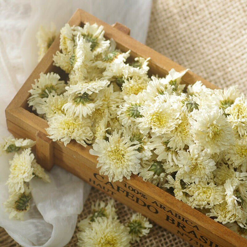 Premium HuangShan White Tribute Chrysanthemum Flower Tea Gongju Herbal Tea 500g