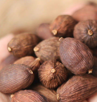 Chinese herbal Natural Dried Amomum Costatum Black Cardamom ( Tsaoko Sha Ren)