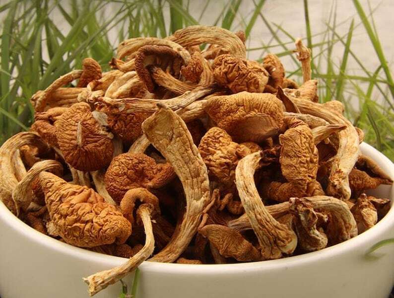 Recommend Pholiota Nameko Premium Dried Nameko Mushroom Very Delicious