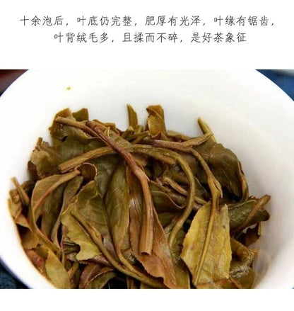 China Tea Emerald 88 Green Cake 2021 Banzhang Big Tree Puer Raw Pu'er Qizi 357g