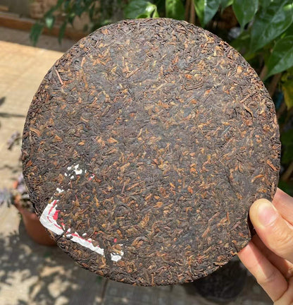 2006 Yr Menghai YIWU OLD TREE Pu'er Pu-erh Tea Ripe Puer Cake Shu 357g