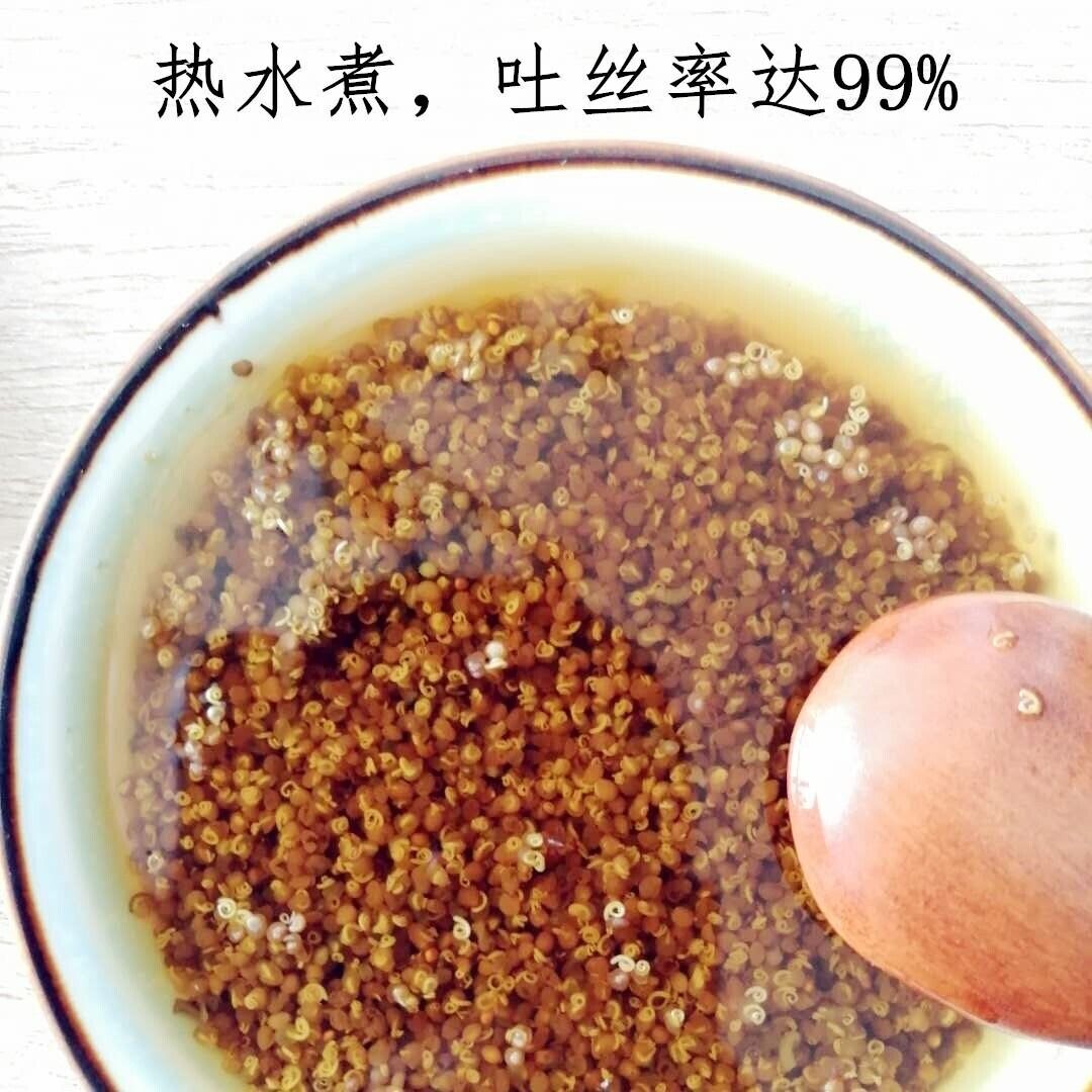Dodder 菟丝子泡水菟丝子 补益肝肾 腰膝酸软 头晕耳鸣 须发早白 100g~500g Chinese Herbs