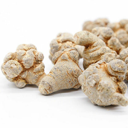 Authentic YunNan WenShan Dried Tian Qi Tienchi Sanqi Notoginseng Root 40' 田七