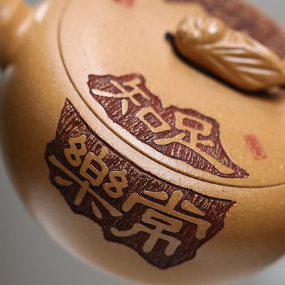 Handmade Tea Pot Hanwa Pot Real Yixing Zisha Duan Clay Ball Shaped Infuser Holes