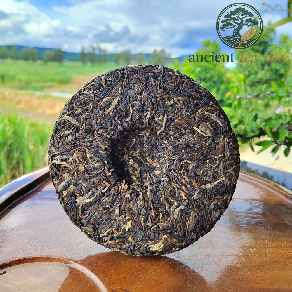 200g 2013 Yi Wu Raw Tea Ancient Tree Yunnan Pu Erh Tea Cake