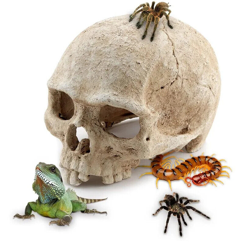 Simulation Head Skeleton Aquarium Resin Decorations Skull Bone Reptile Hide Cave
