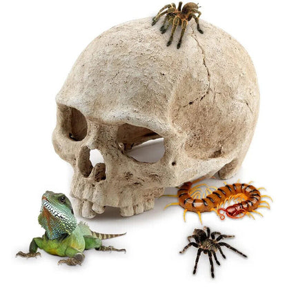 Simulation Head Skeleton Aquarium Resin Decorations Skull Bone Reptile Hide Cave
