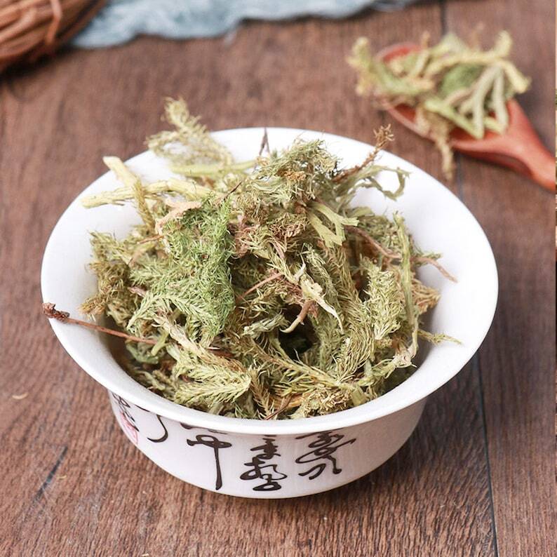 Organic Herbal Common Clubmoss Herb Herbal Lycopodii Great Quality